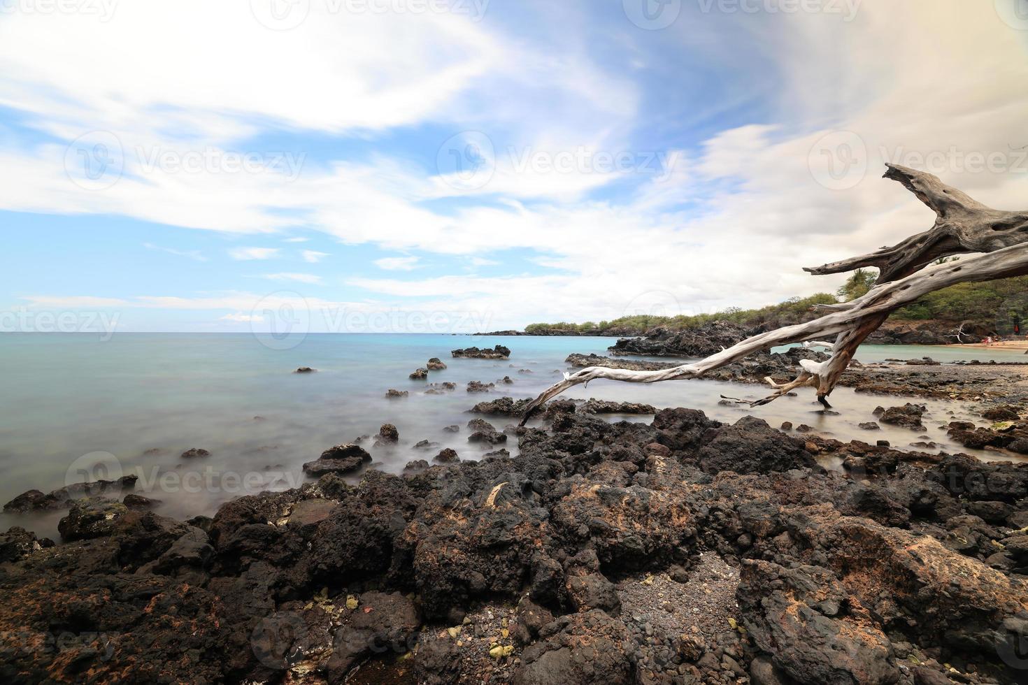 hawaï-eiland, strand 67 drijfhout en zee foto