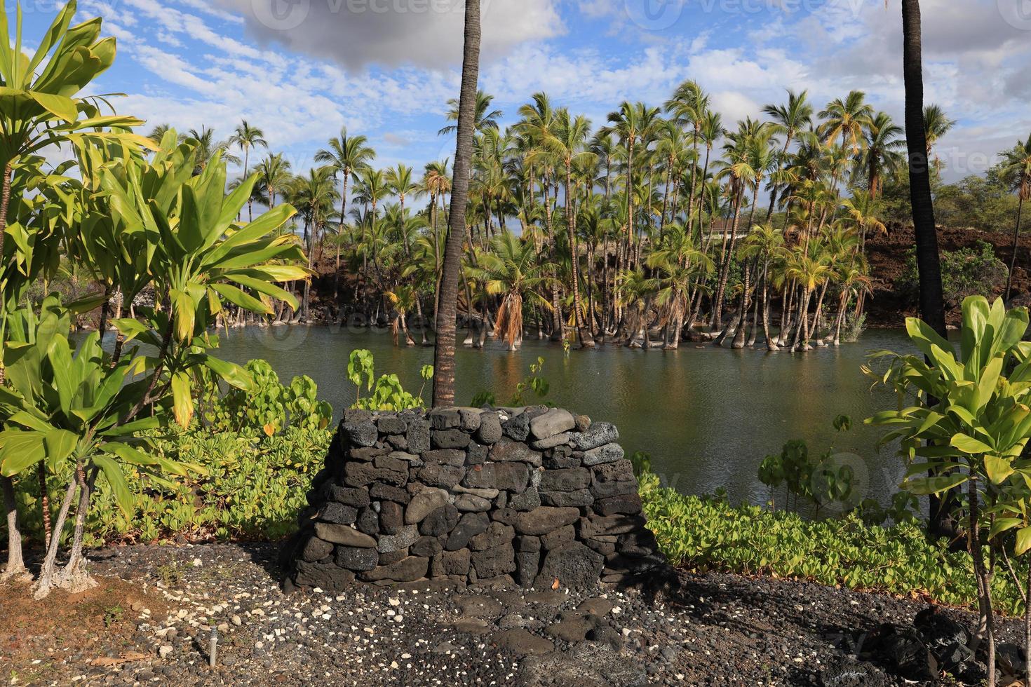visvijver in kalahuipuaa historisch park op het grote eiland hawaï foto