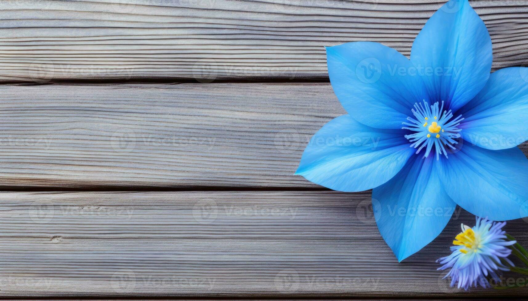 blauw bloem Aan houten achtergrond. top visie met kopiëren ruimte. vlak leggen. ai gegenereerd. foto