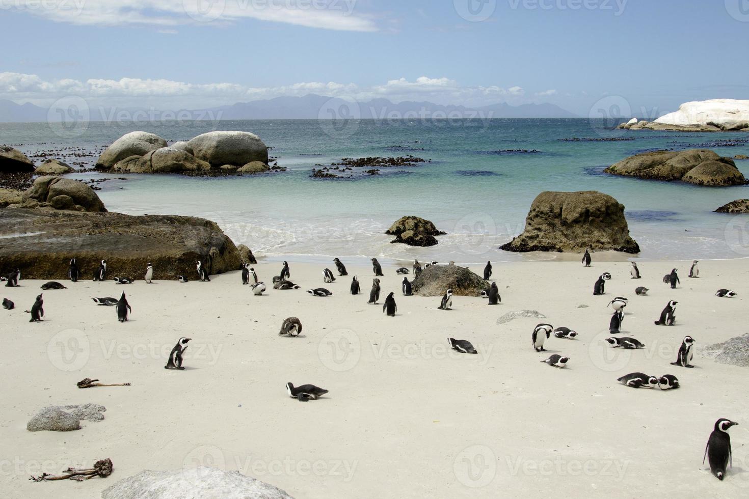 verbazingwekkende landschappen van Zuid-Afrika, uitzicht op Zuid-Afrika foto