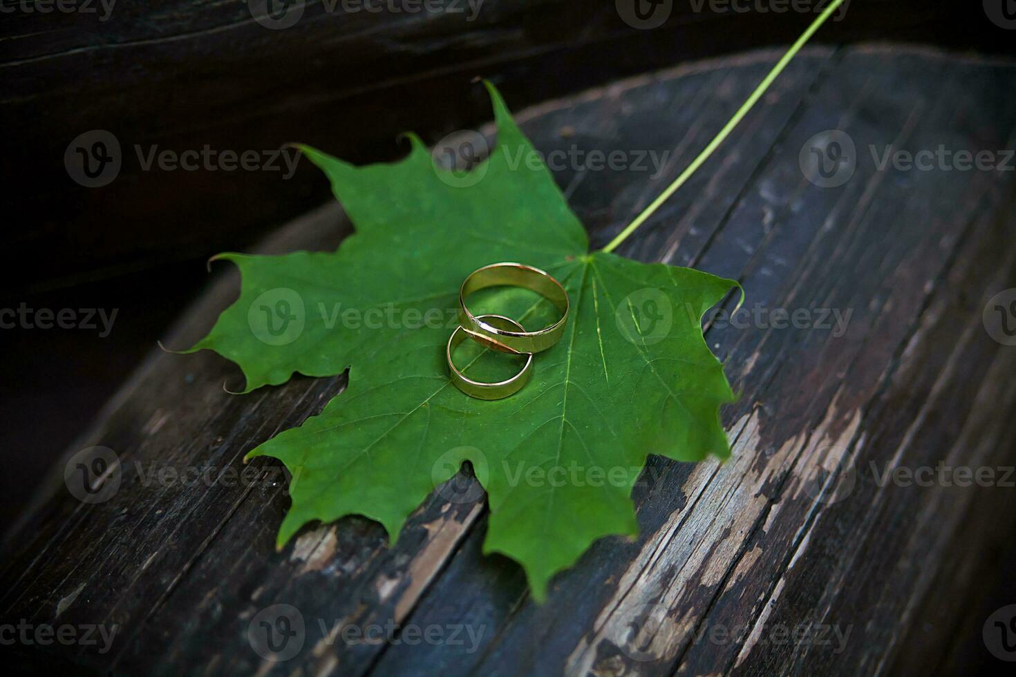 bruiloft ringen Aan groen esdoorn- bladeren foto