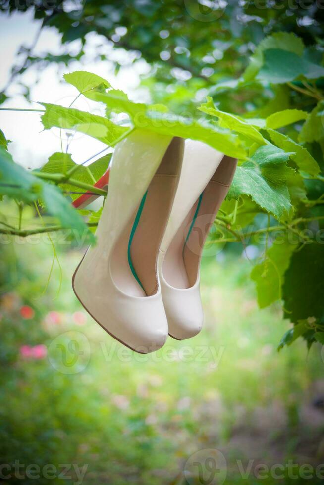 vrouwen schoenen met hoog hakken zijn hangende foto