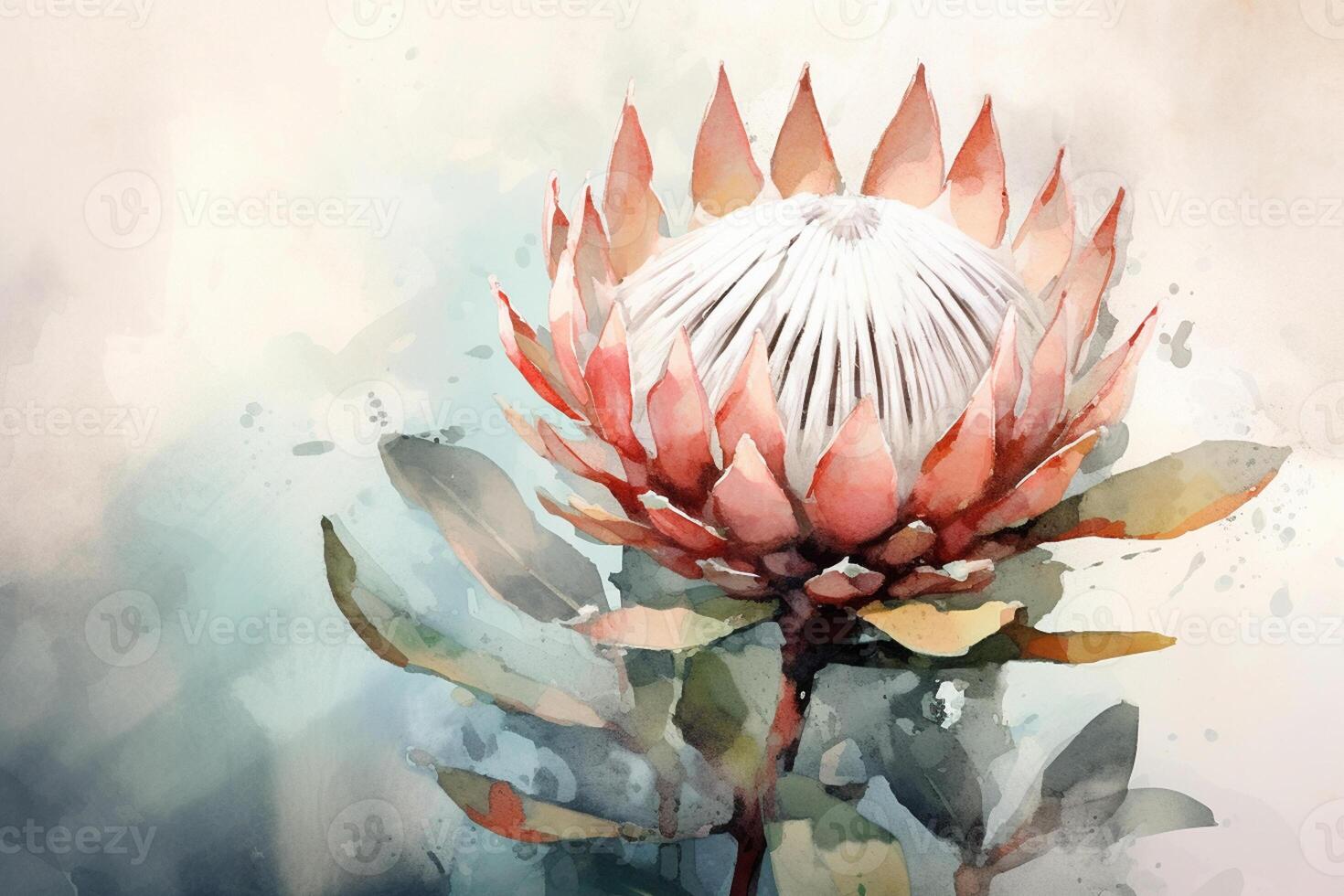 waterverf schilderij van een protea bloem Aan een waterverf achtergrond ai gegenereerd foto