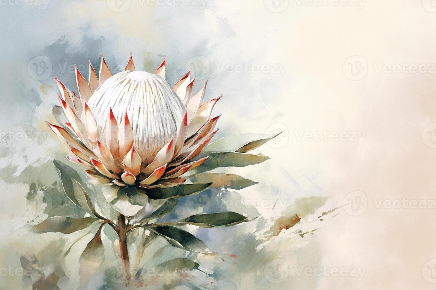 waterverf schilderij van een protea bloem Aan een waterverf achtergrond ai gegenereerd foto