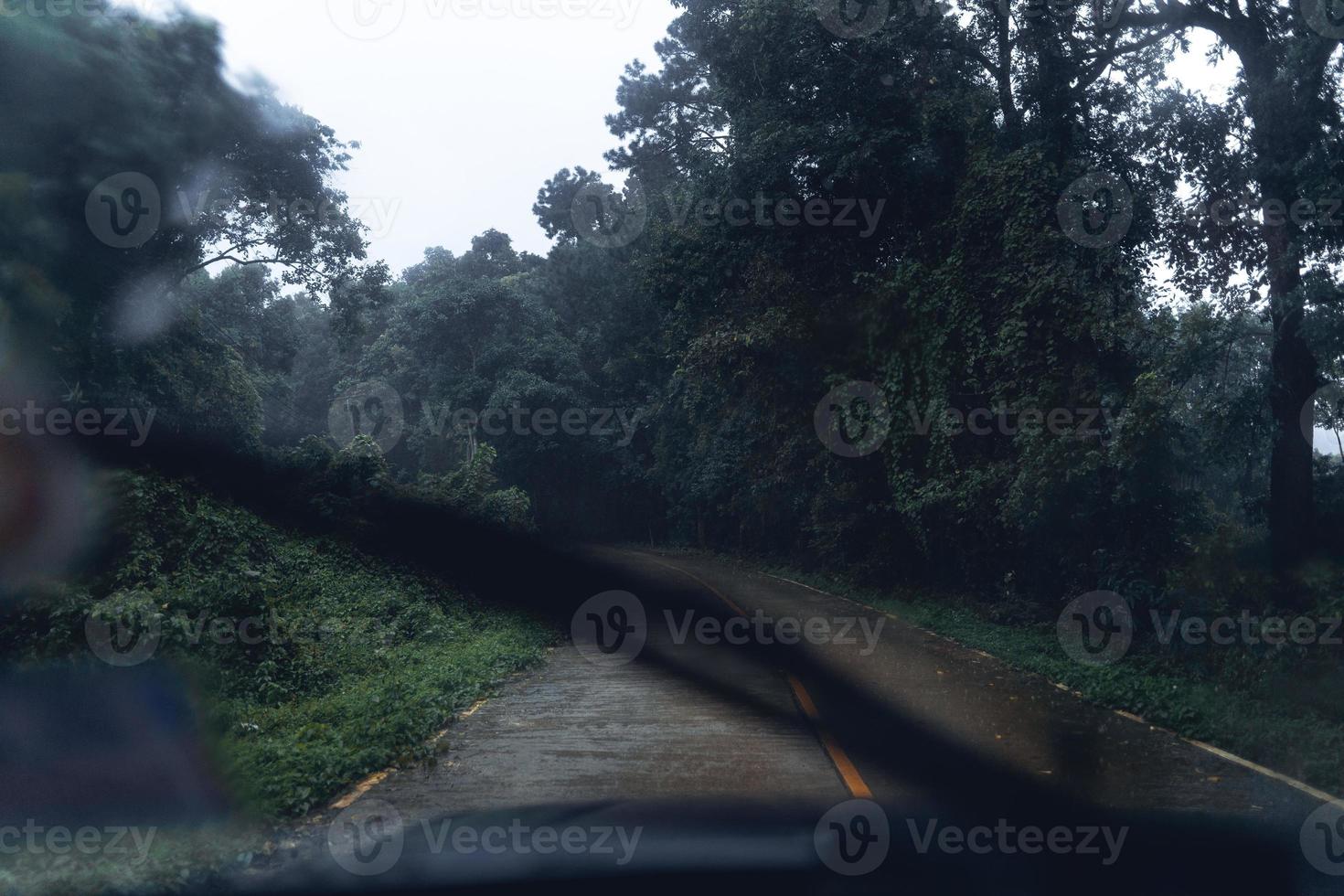 weg in een tropisch bos, de weg naar het tropische vochtige bos foto