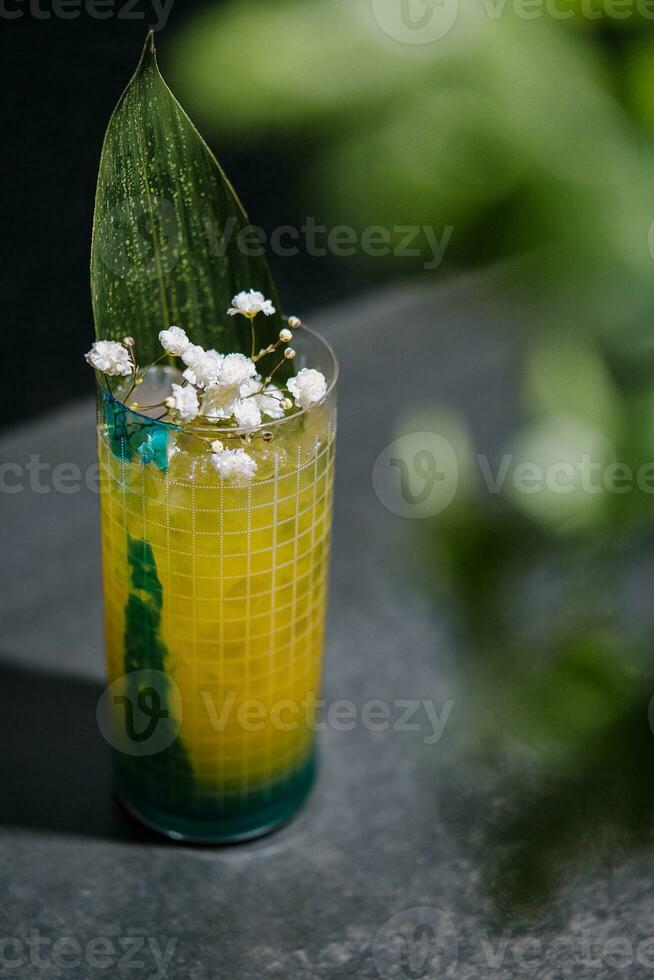 verfrissend drinken gemaakt van ouderling bloemen foto