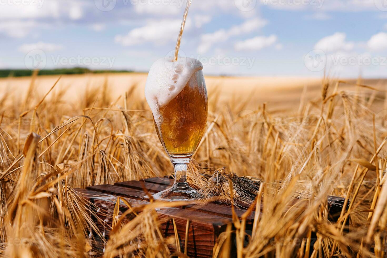 glas van bier tegen tarwe veld- foto