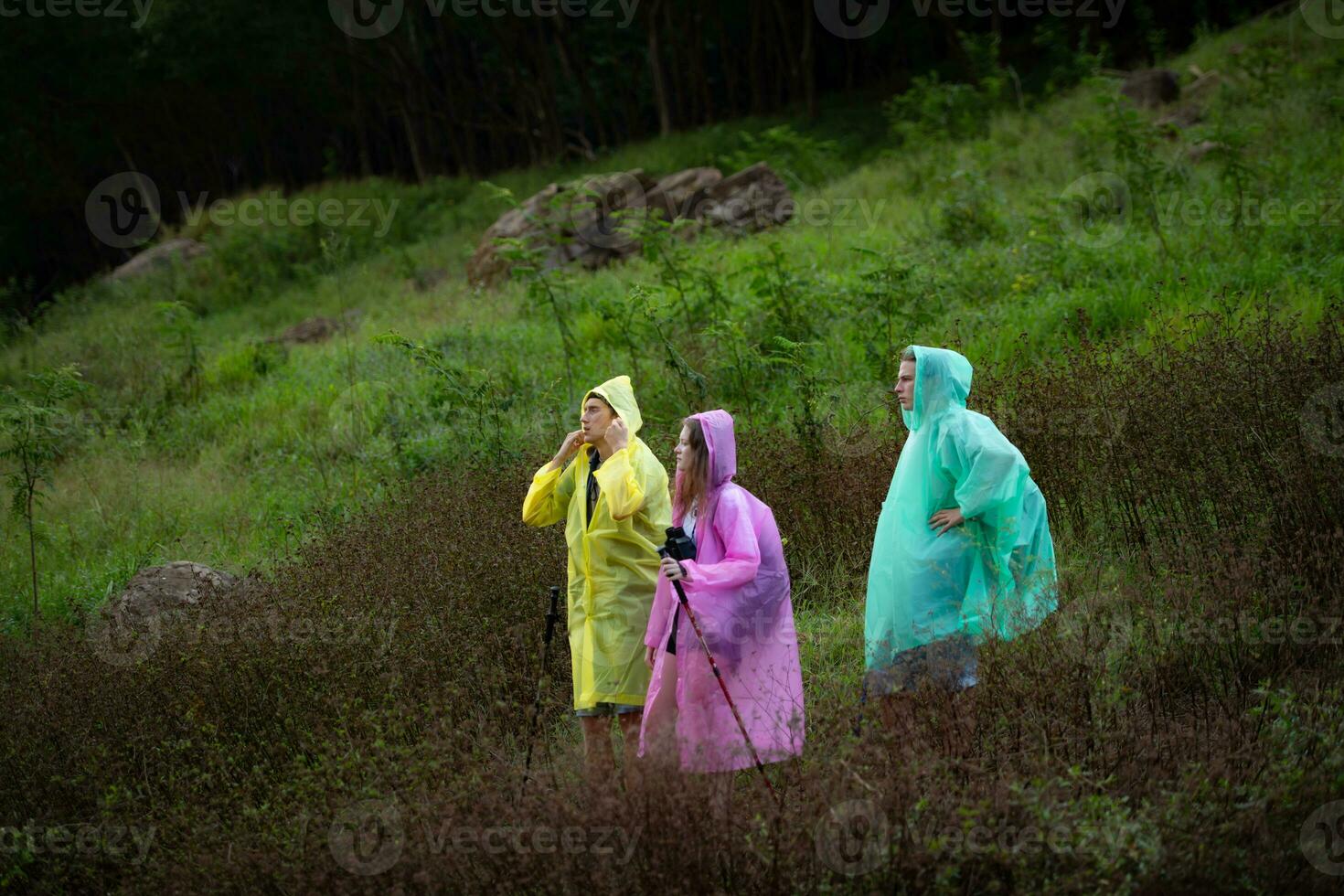groep van vrienden in regenjassen met rugzakken Aan een wandeltocht in de Woud, bereiden naar wandelen na de regen heeft gestopt. foto