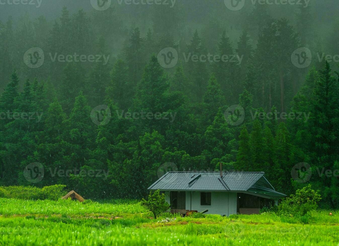 huis in de midden- van de Woud in de regenachtig seizoen foto