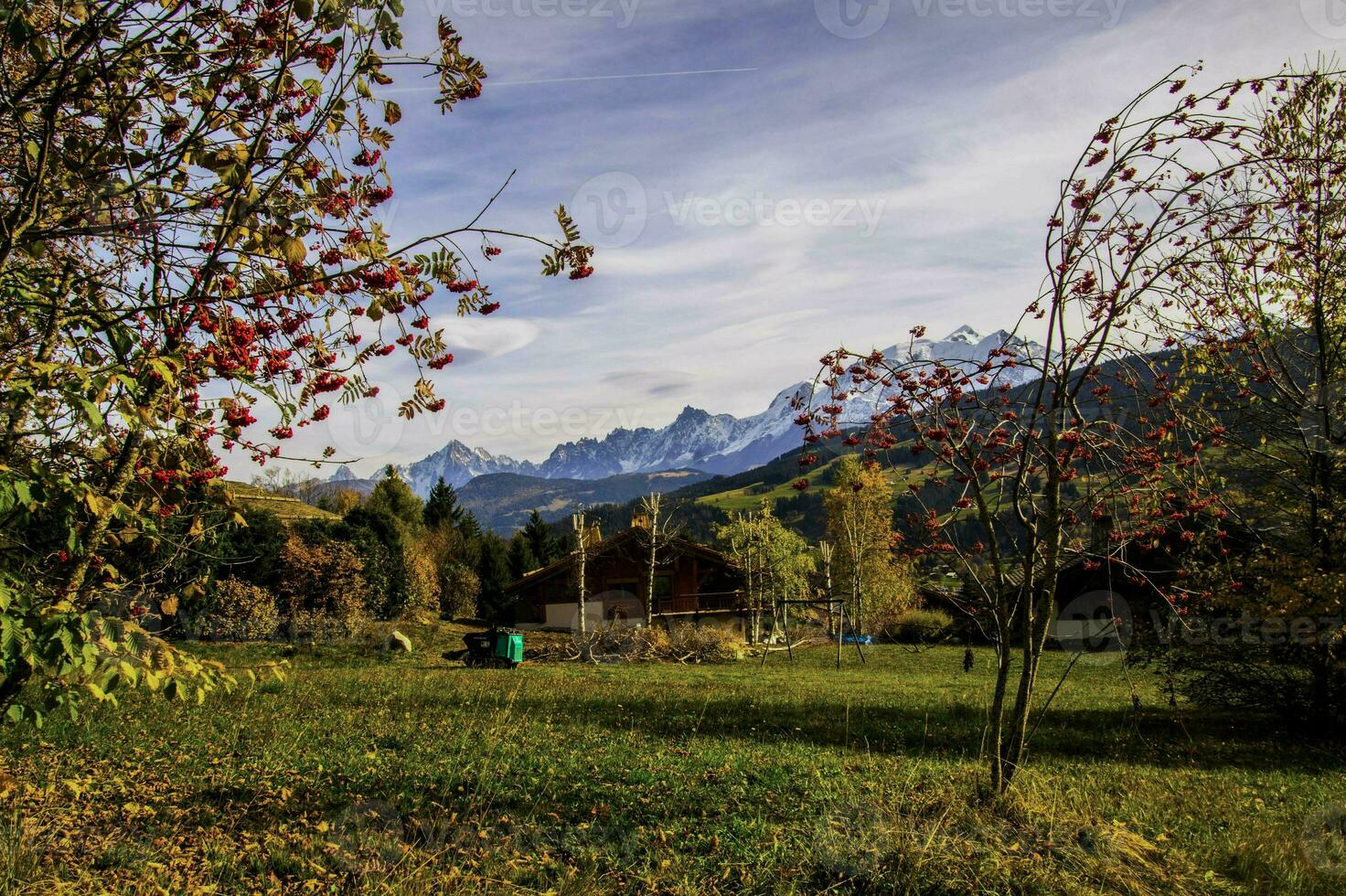 een veld- met een schuur en bomen in de achtergrond foto