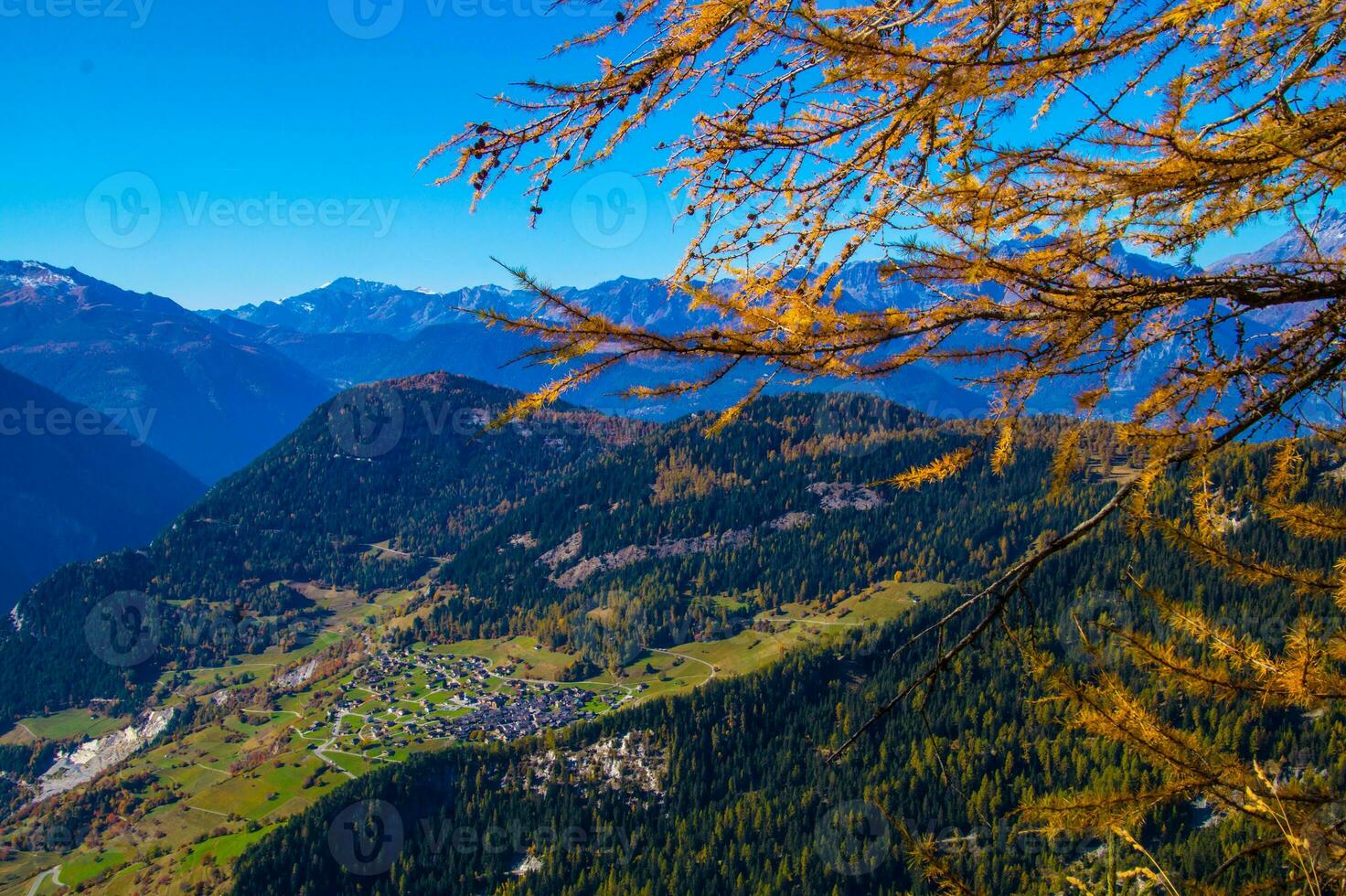 Paysage des alpen suisse nl automne foto