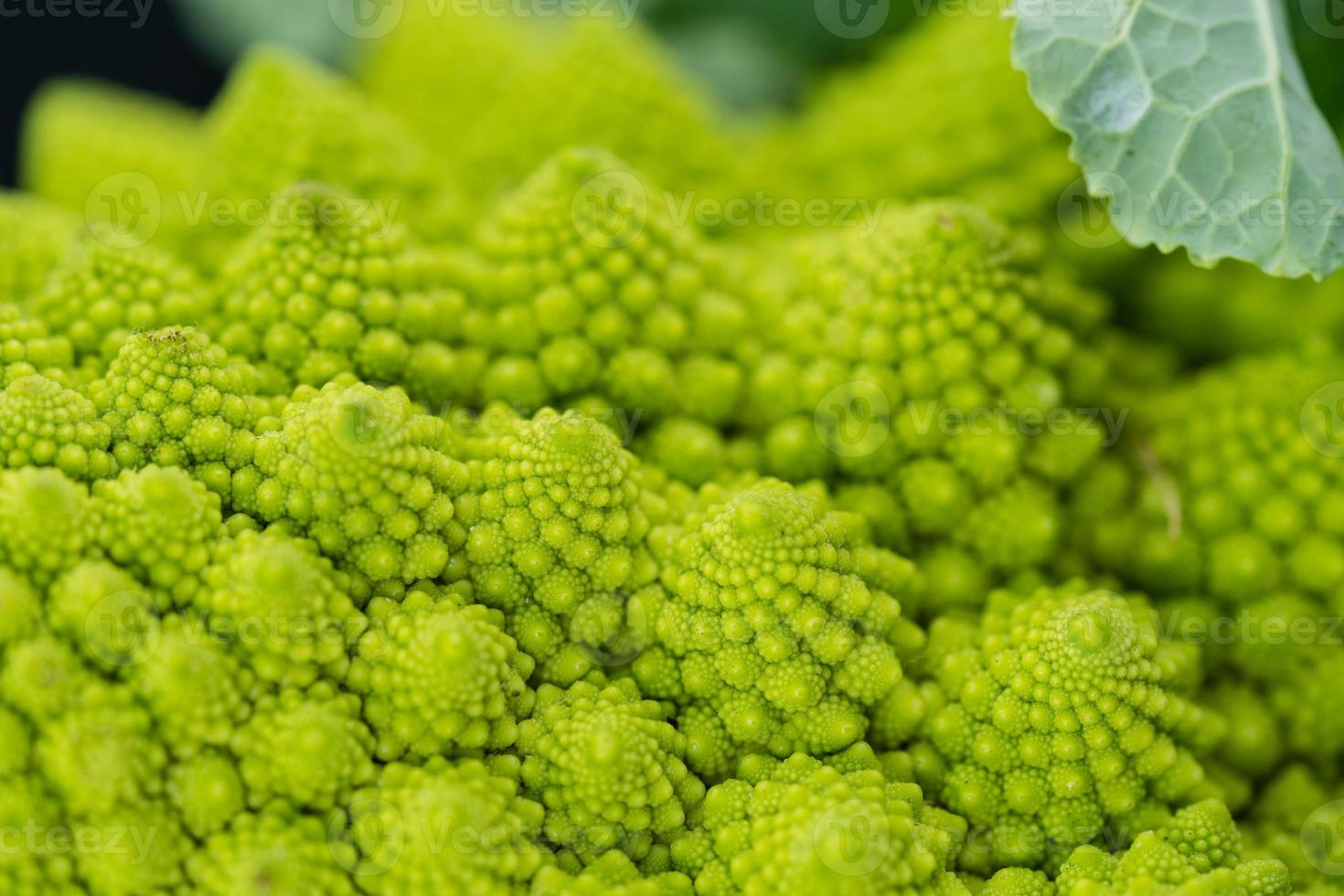 romanesco de italiaanse groene bloemkool foto