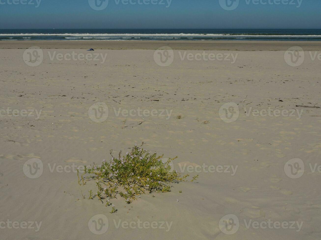 langeoog eiland in duitsland foto