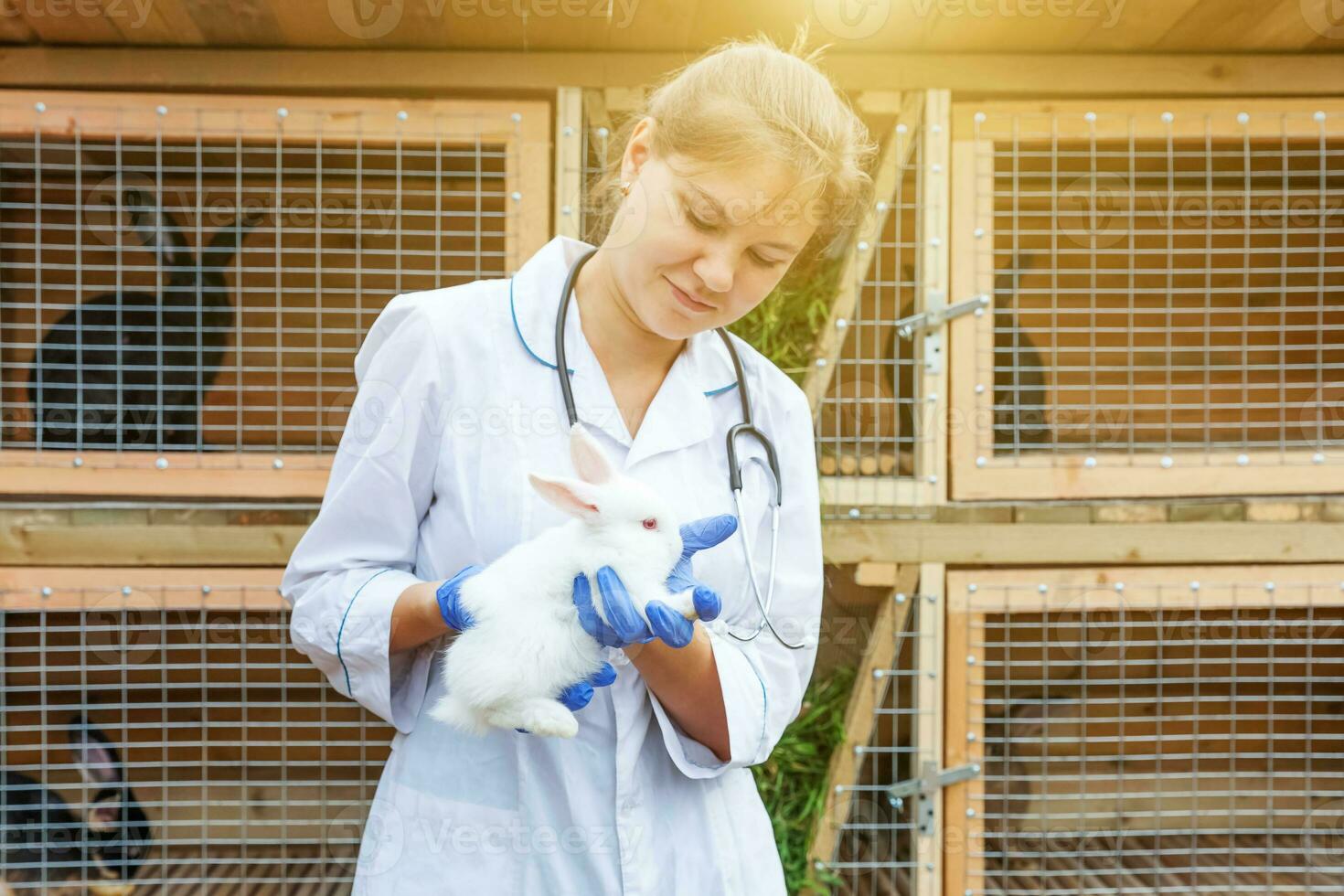 gelukkige jonge dierenarts vrouw met stethoscoop houden en onderzoeken konijn op ranch achtergrond. konijntje in handen van dierenarts voor controle in natuurlijke eco-boerderij. dierenverzorging en ecologisch landbouwconcept. foto