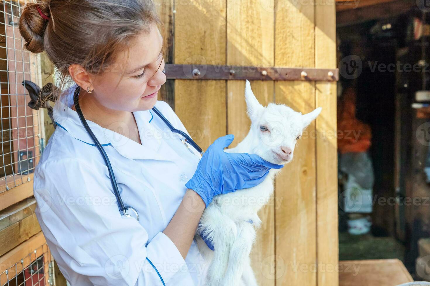 jong dierenarts vrouw met stethoscoop Holding en onderzoeken geit kind Aan boerderij achtergrond. jong geiten in dierenarts handen voor controleren omhoog in natuurlijk eco boerderij. modern dier vee, ecologisch landbouw. foto