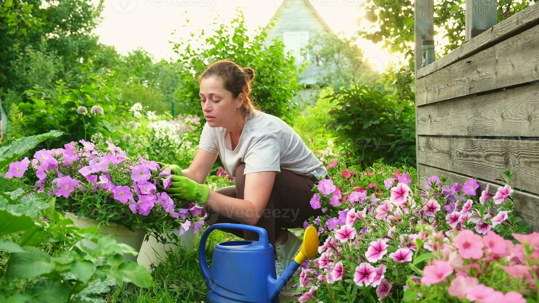 tuinieren en landbouw concept. jong vrouw boerderij arbeider tuinieren bloemen in tuin. tuinman aanplant bloemen voor boeket. zomer tuinieren werk. meisje tuinieren Bij huis in achtertuin. foto