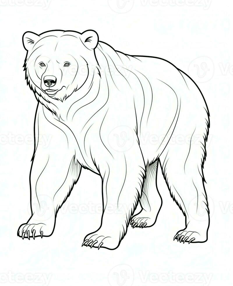 vector van beer in zwart en wit kleuren. dier kleur bladzijde. generatief ai foto