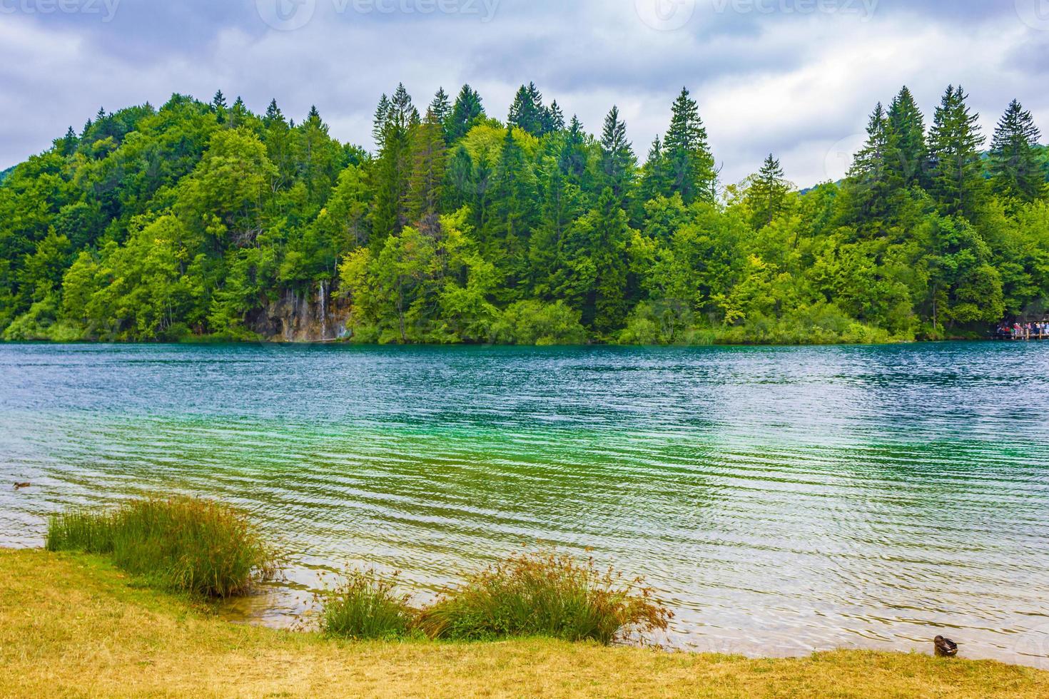 plitvice meren nationaal park landschap turquoise water in kroatië. foto