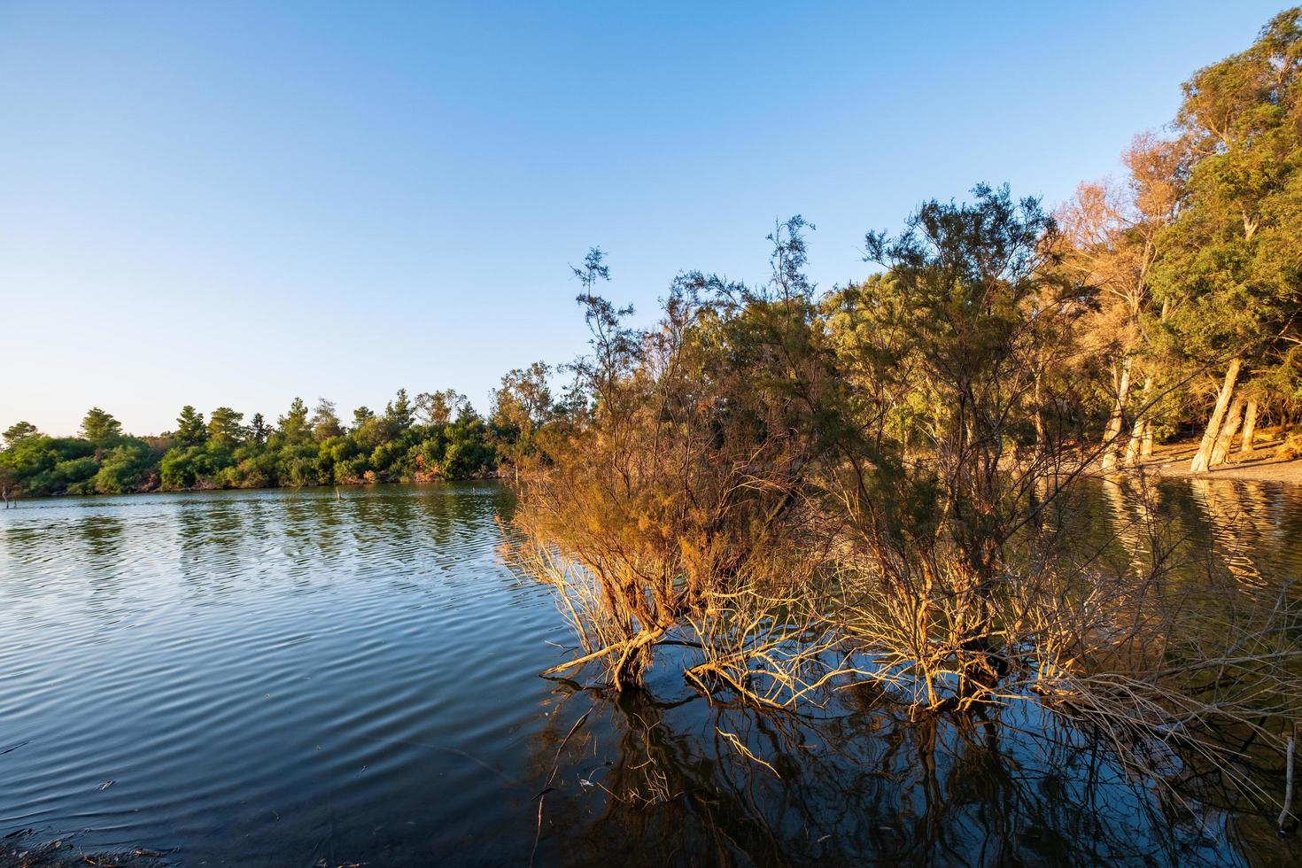 athalassa meer met prachtig verlicht water en bomen foto