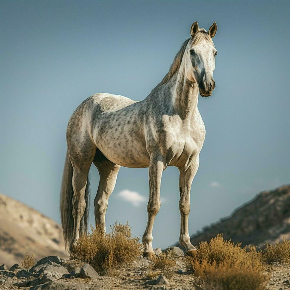 foto van paard vol schot hoog kwaliteit hdr 16k ultra hd