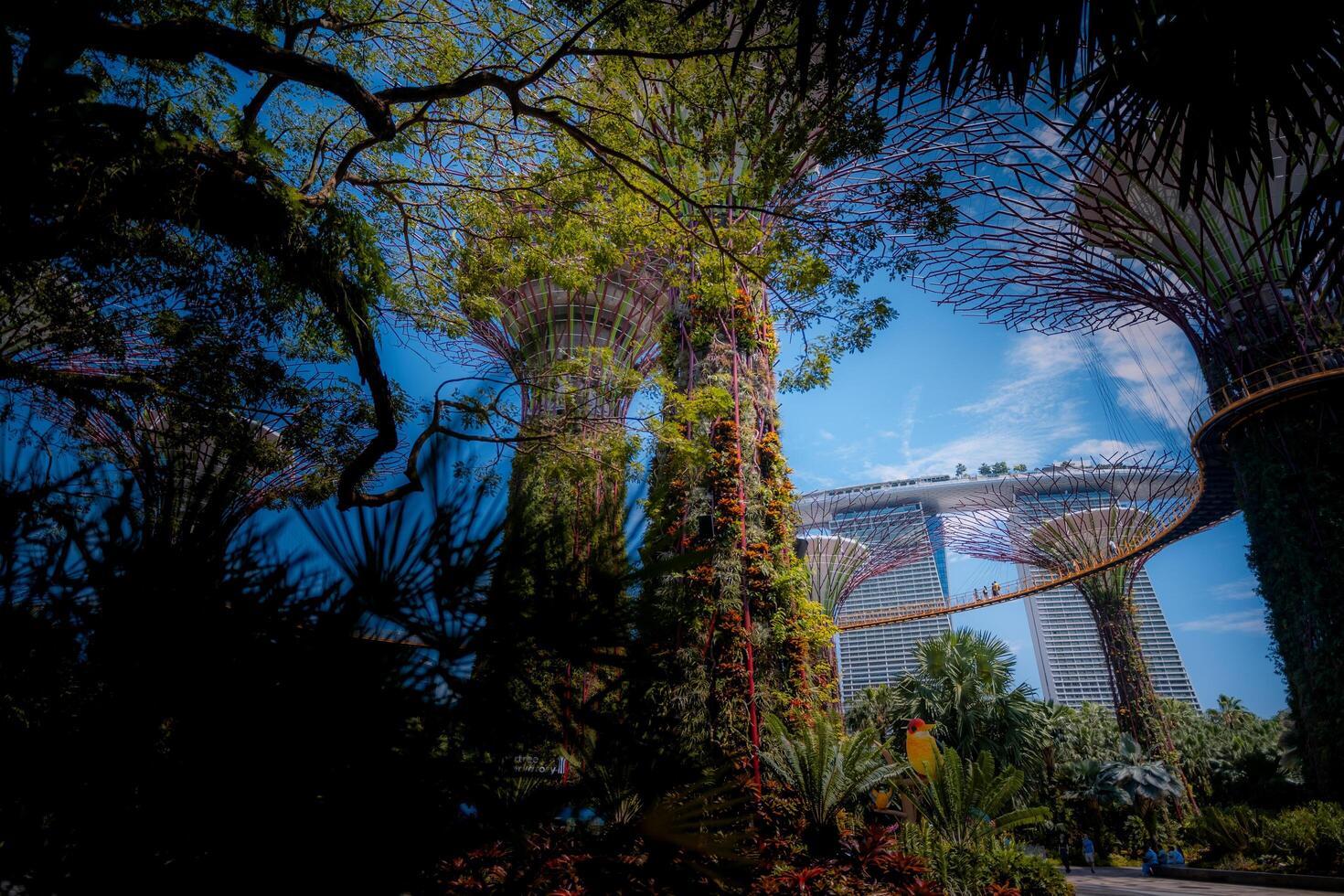 supertree bosje en jachthaven baai zand gebouw in Singapore foto