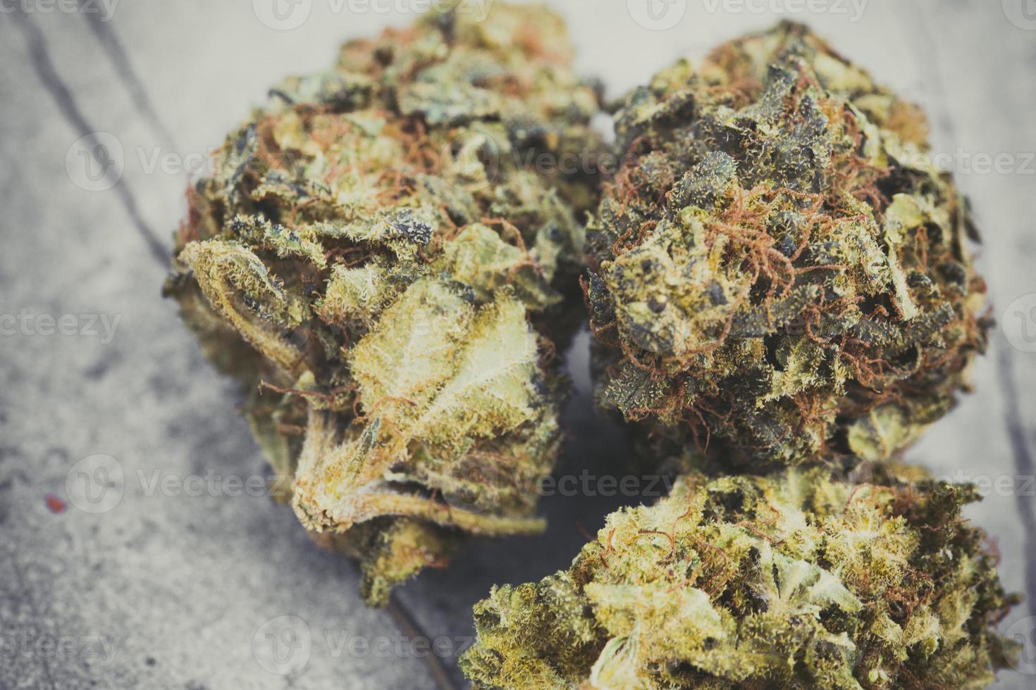 legale cannabis bloemen foto
