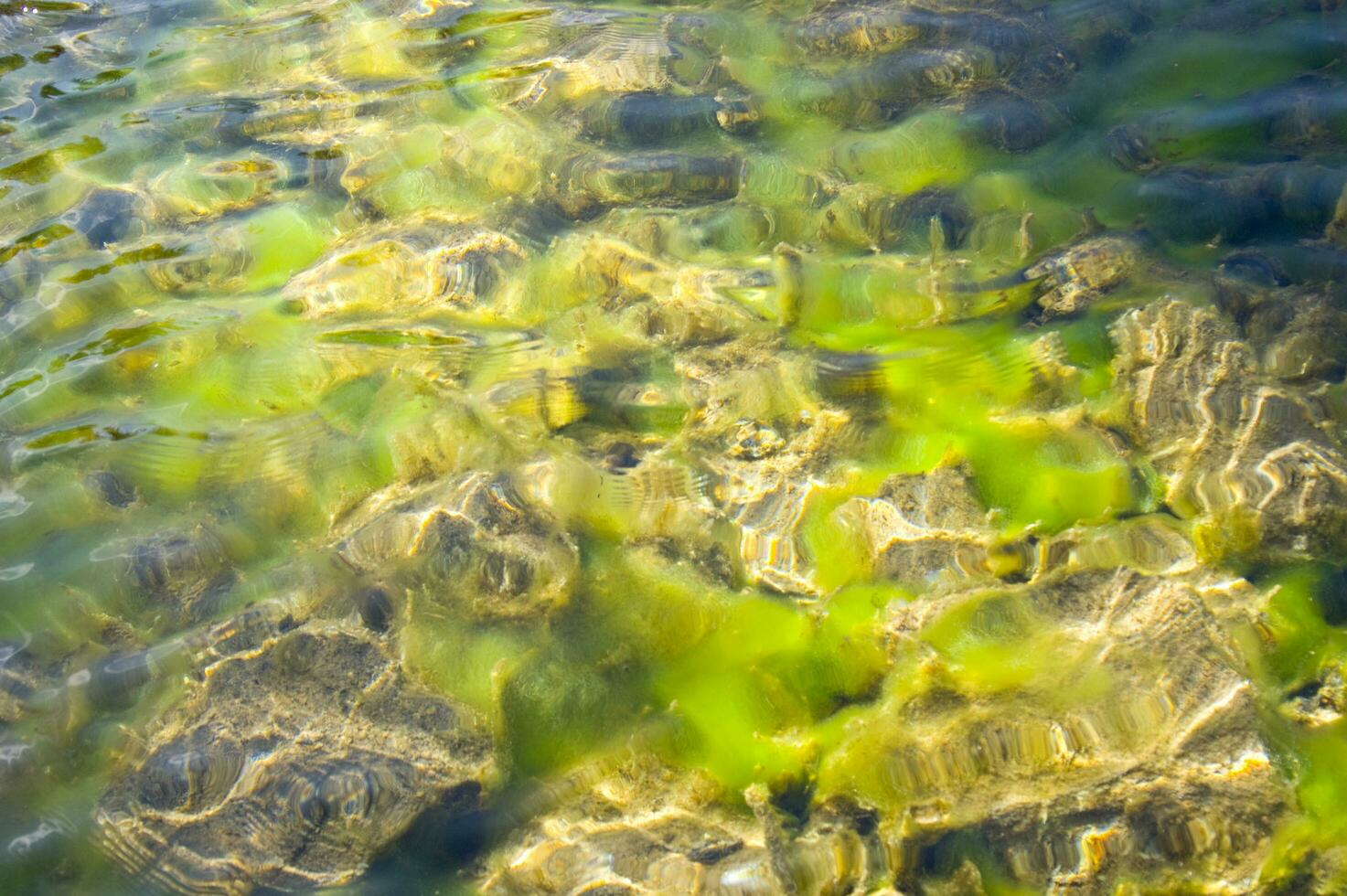 een Mens is staand Aan een boot in de water foto