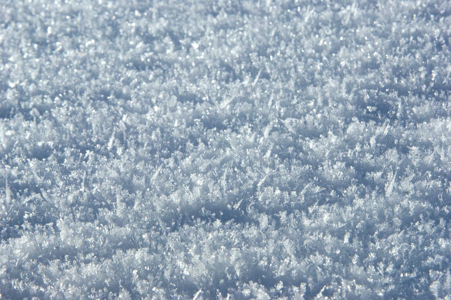 een dichtbij omhoog van sneeuw vallend van de lucht foto