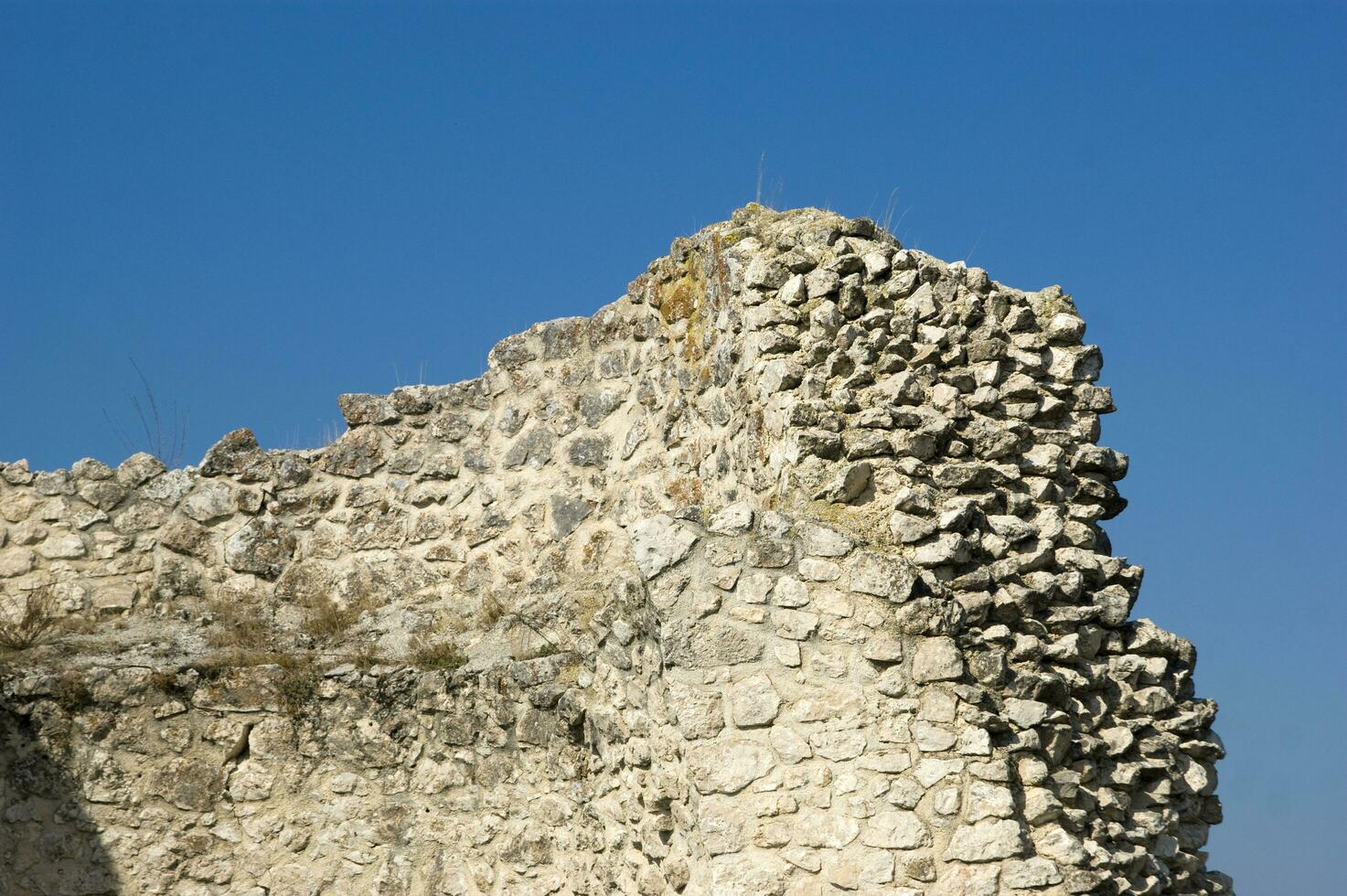 een steen muur met een groot vogel Aan het foto