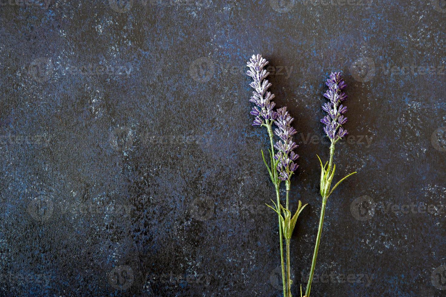 lavendel bloemen op donker hout foto