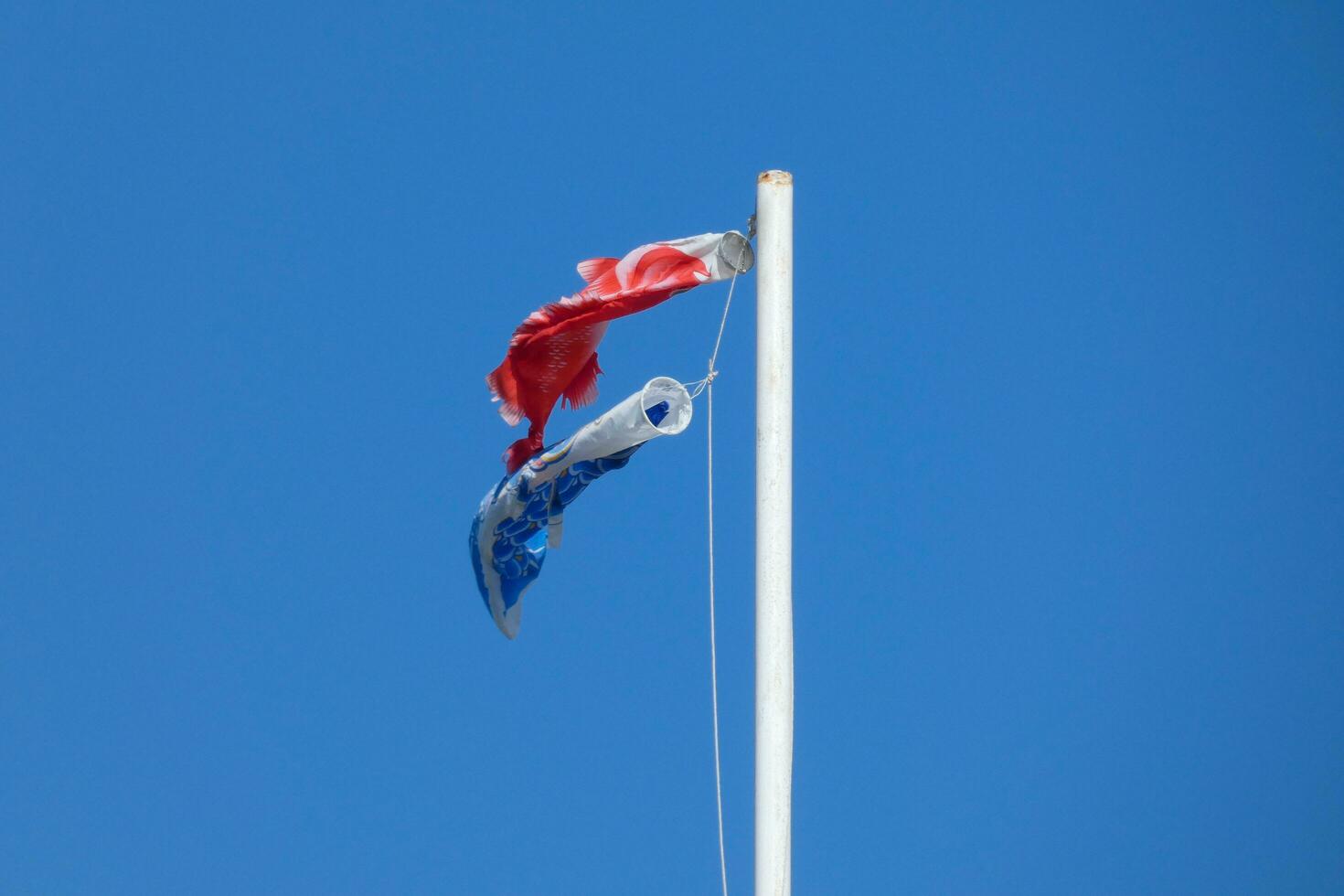 kleurrijk vlaggen onder de blauw lucht fladderend in de wind foto