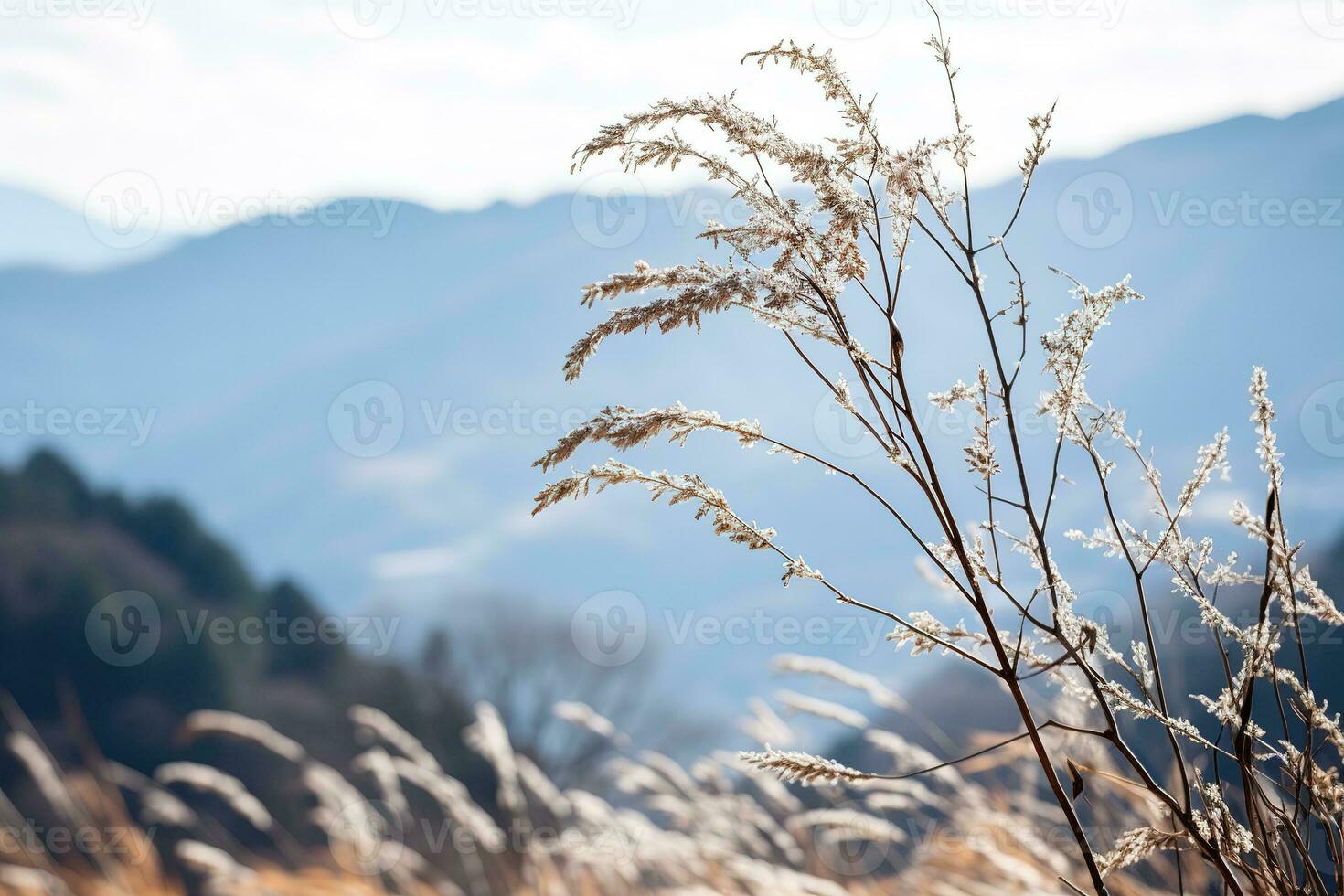 teder berg Woud briesje, besneeuwd lucht achtergrond, zwaaiend winter planten, en sereen takken in een rustig natuurlijk tafereel. generatief ai foto