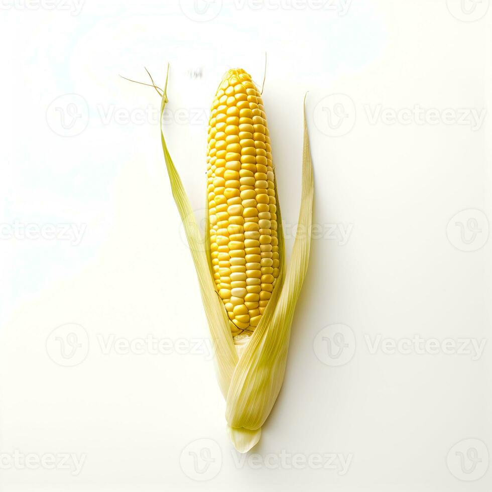 maïs maïskolf geïsoleerd. hoog oplossing. foto