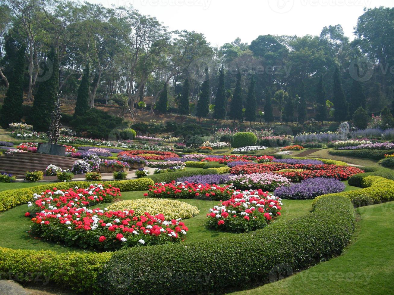 bloemen in de botanische tuin van India, kleurrijk en mooi foto