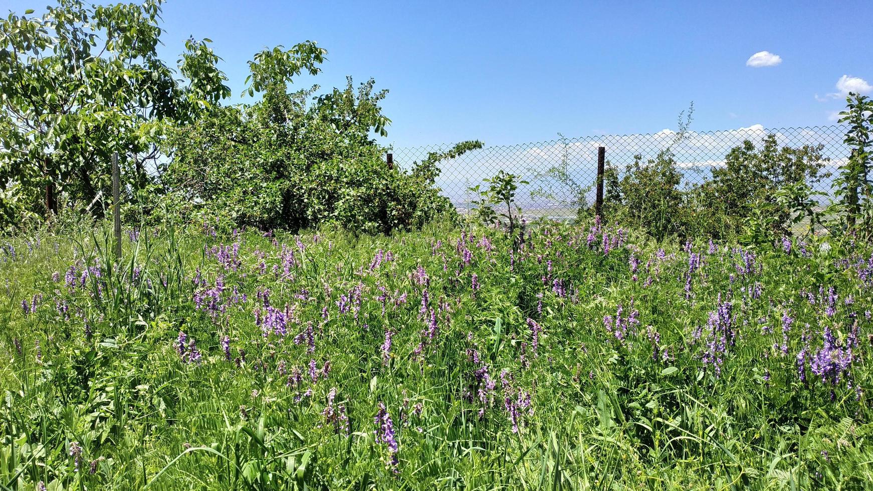 natuur landschap dag foto