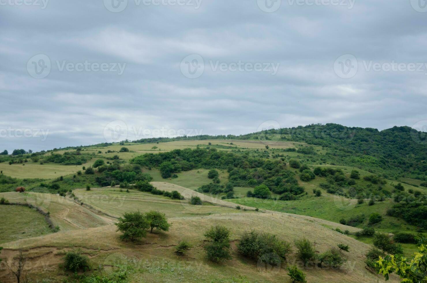 mooi landschap van heuvels en bergen in zomer foto