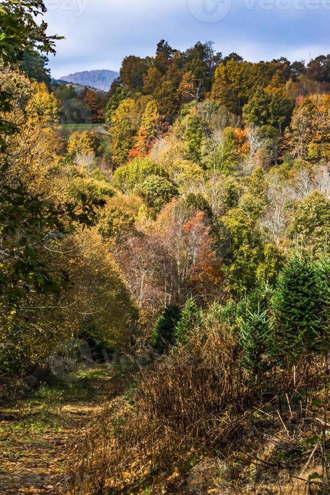 pittoresk herfstlandschap in West-Virginia foto