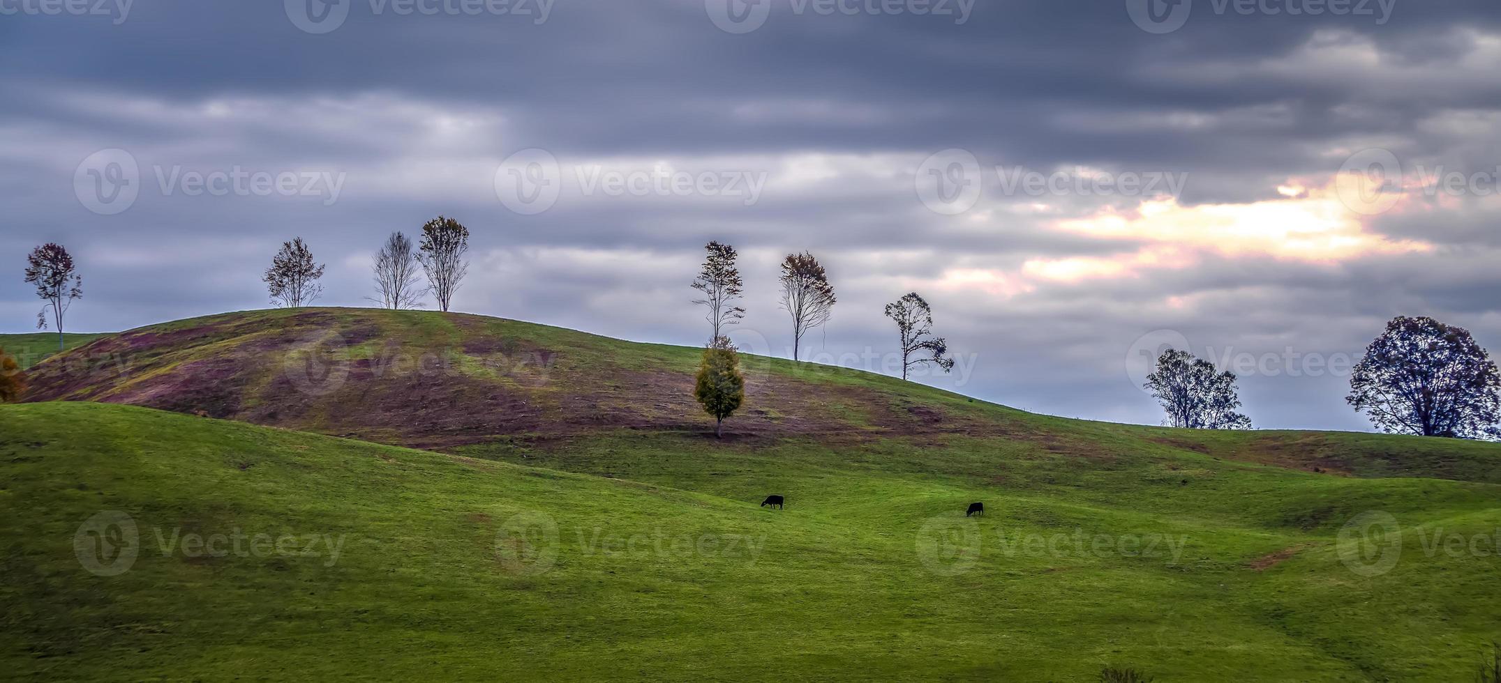 pittoresk herfstlandschap in West-Virginia foto