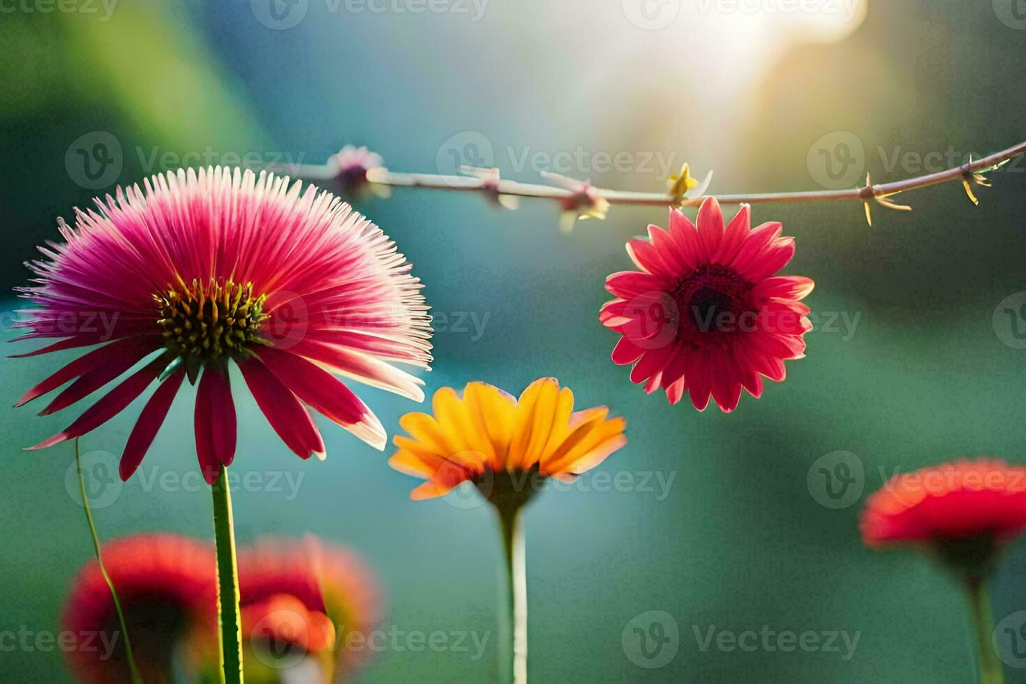 foto behang de zon, bloemen, de zon, bloemen, de zon, bloemen, de zon. ai-gegenereerd