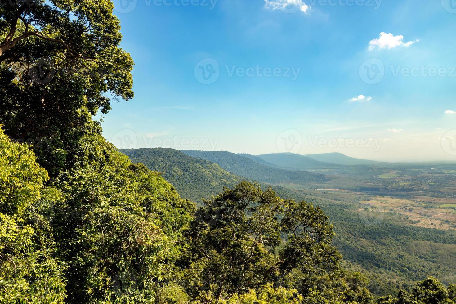 tropisch boslandschap met berg en blauwe hemelachtergrond foto