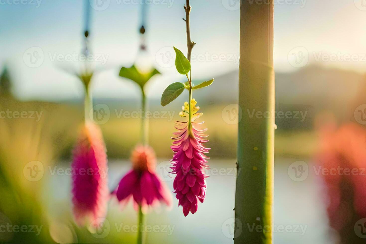 roze bloemen hangende van een bamboe pool. ai-gegenereerd foto