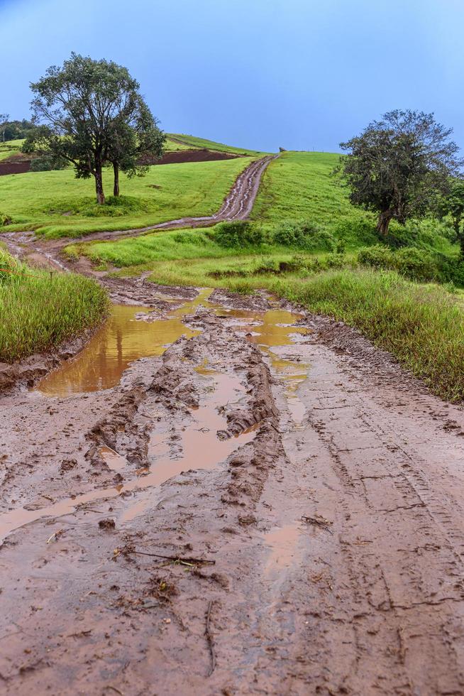 bandensporen op een modderige weg op het platteland foto
