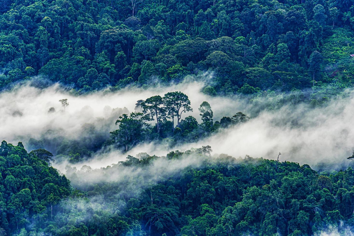 mistige ochtendzonsopgang bij doi mon ngao gezichtspunt in chiang mai, thailand foto