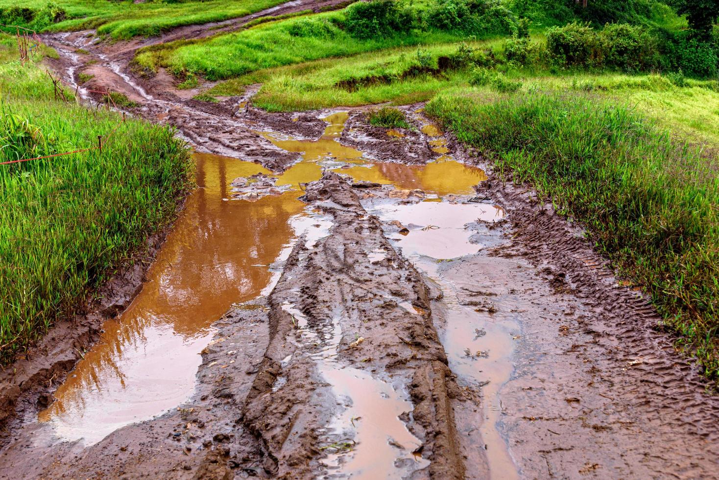 bandensporen op een modderige weg op het platteland foto