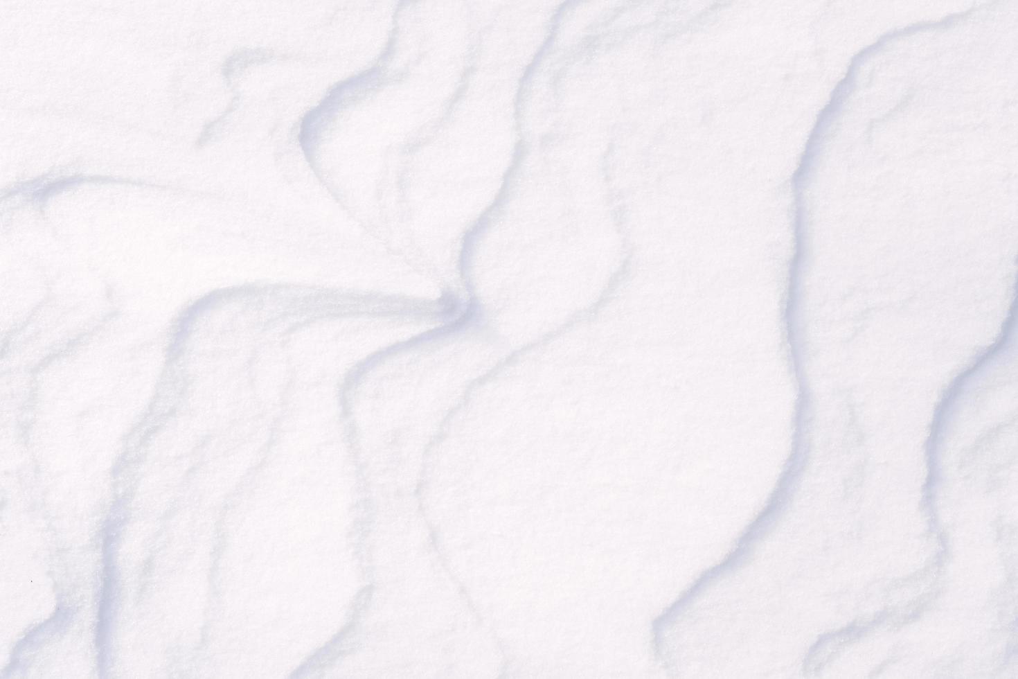 schone witte sneeuwtextuur gemaakt van ijskristallen foto