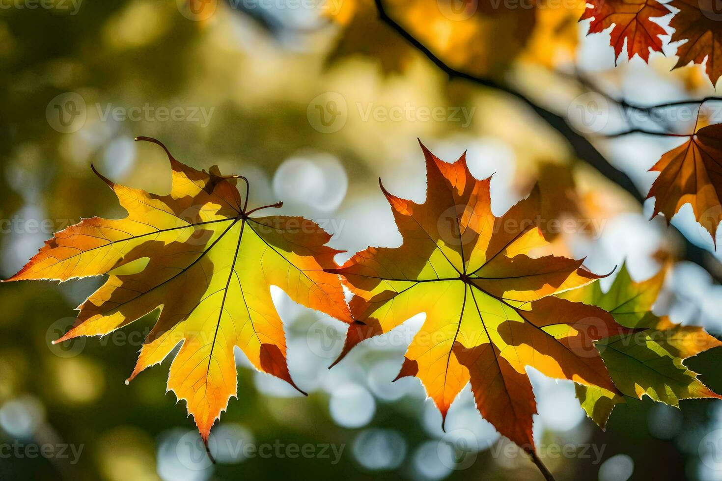 herfst bladeren, herfst, herfst bladeren, herfst bladeren, herfst bladeren, herfst bladeren, herfst. ai-gegenereerd foto