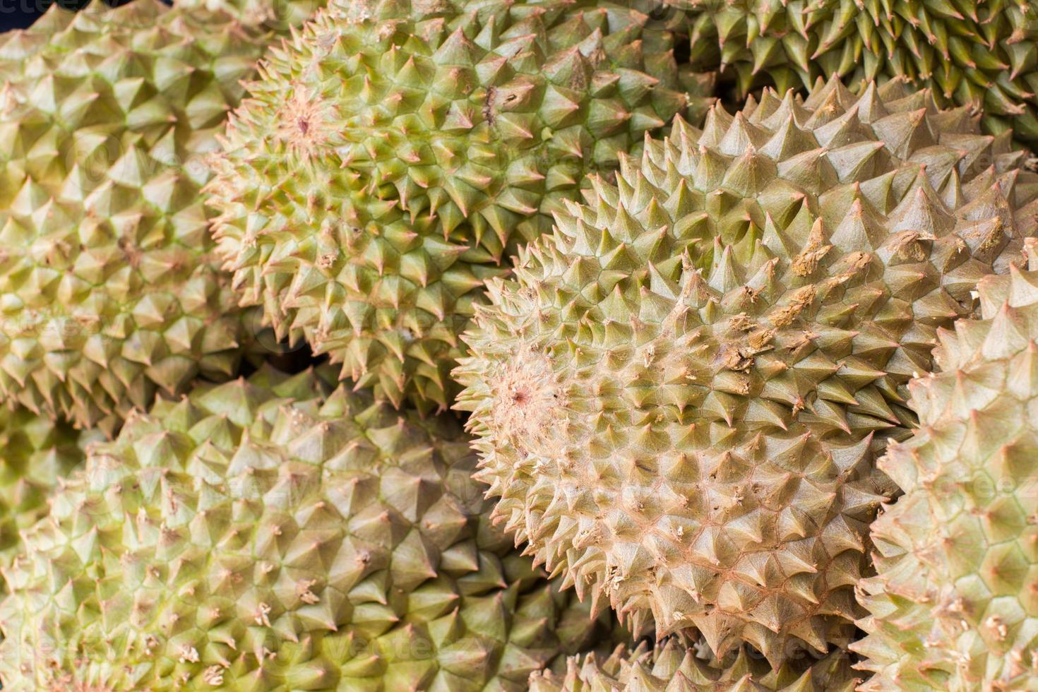 durian, koning van fruit, voor verkoop in thailand foto