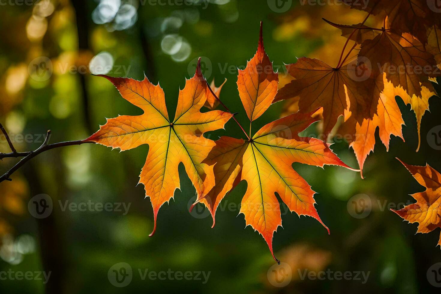 herfst bladeren in de zonlicht. ai-gegenereerd foto