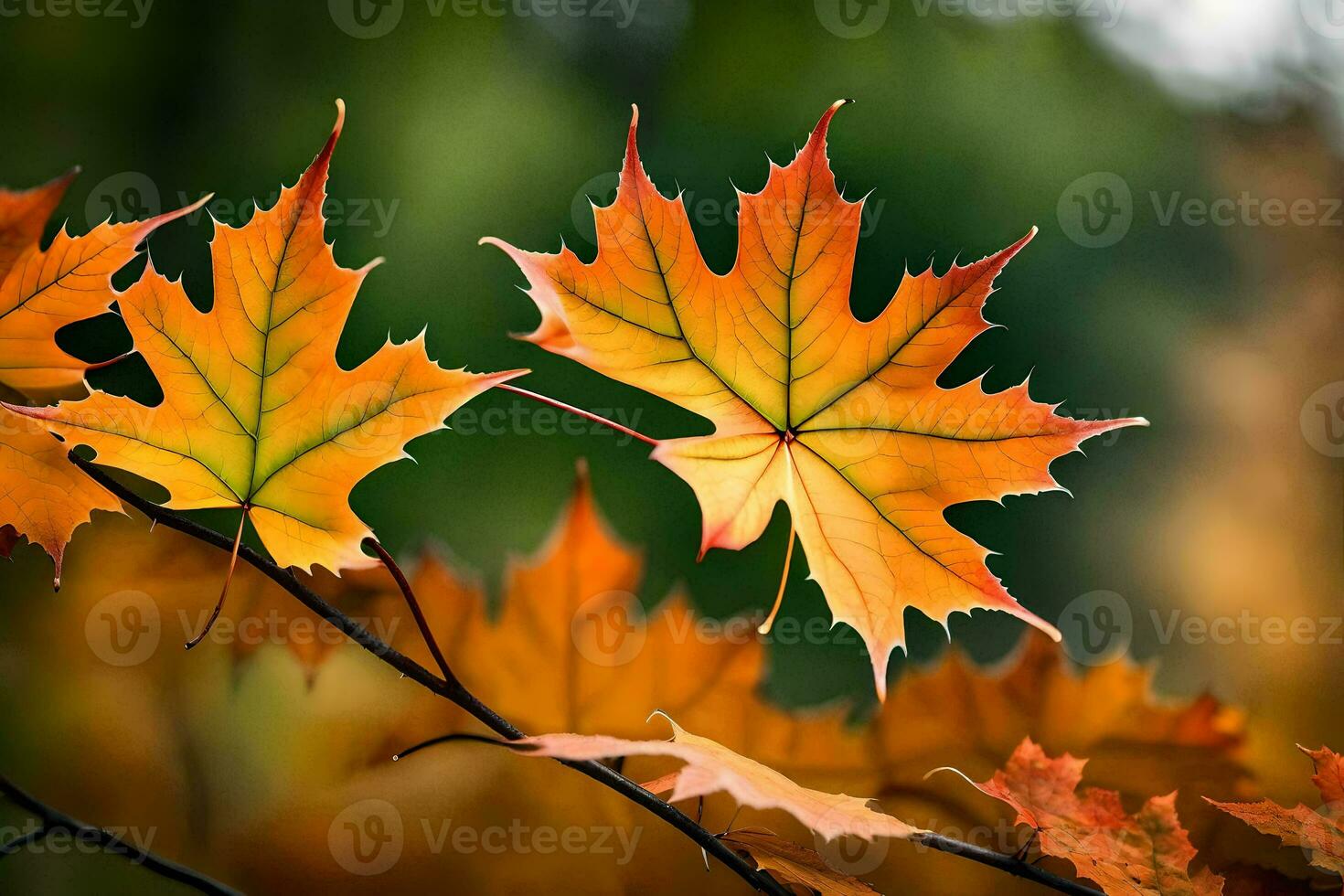 foto behang bladeren, de herfst, herfst, bladeren, de bladeren, herfst, herfst bladeren,. ai-gegenereerd