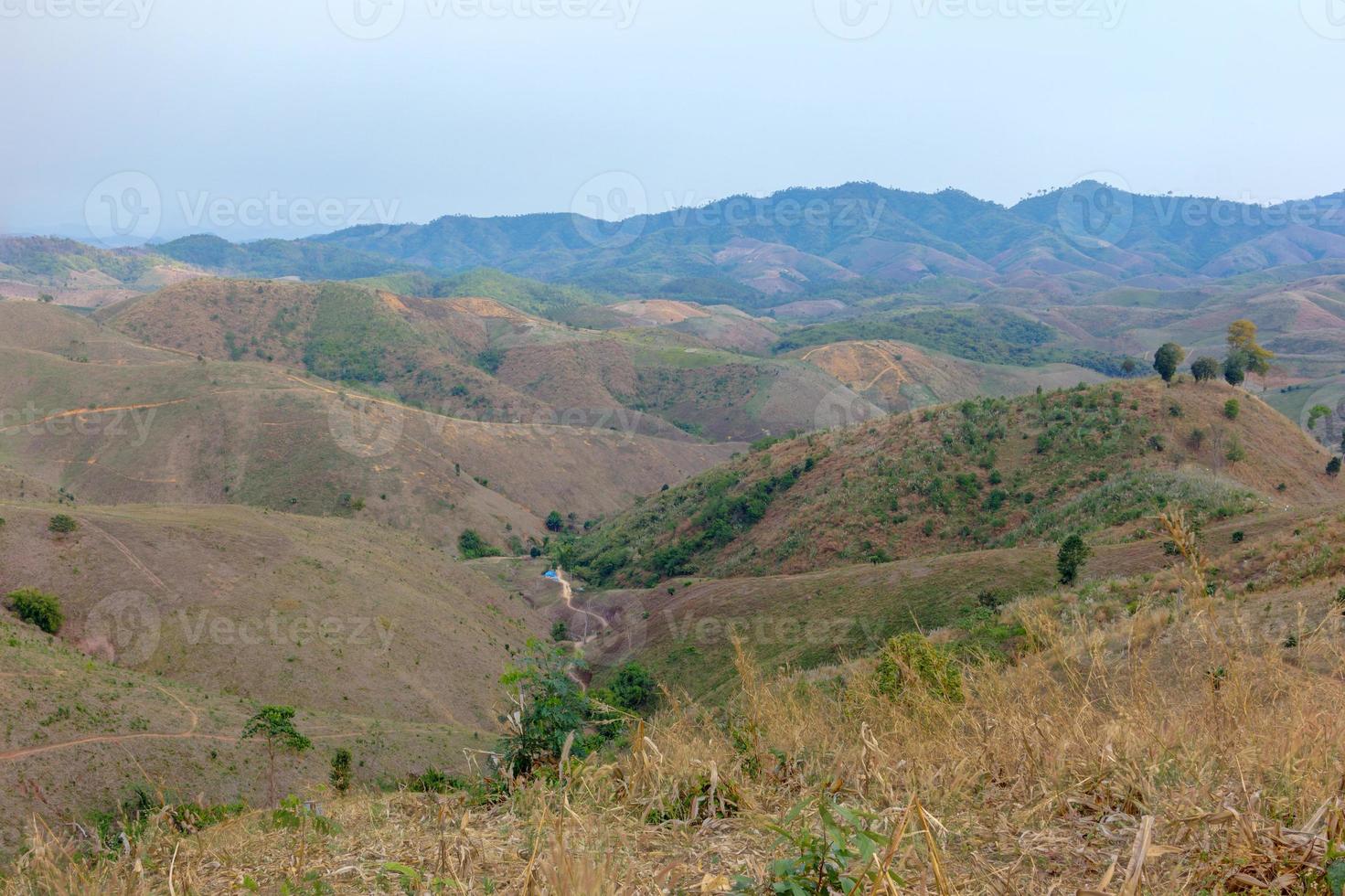 ontbossing op de berg voor landbouw, thailand foto